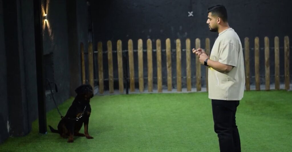 اجرا فرامین در آموزش فرمان پذیری به سگ از راه دور