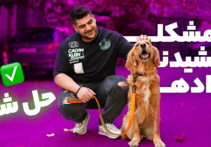 آموزش هم قدم شدن سگ