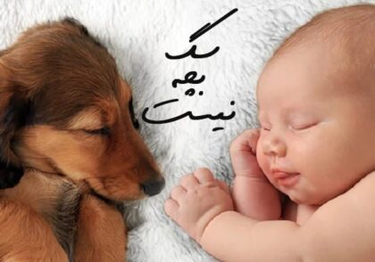 سگ بچه نیست | اشتباه بزرگی که صاحبان سگ‌ها مرتکب می‌شوند