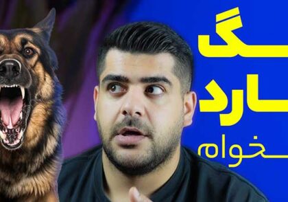 انتخاب سگ گارد | معرفی 3 نژآد سگ مخصوص گارد 🔥