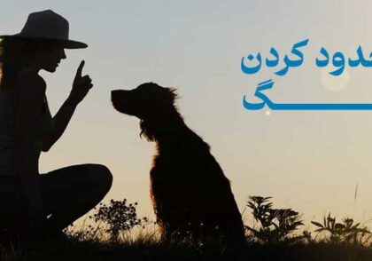 محدود کردن سگ | چگونه حدود سگ را مشخص کنیم؟